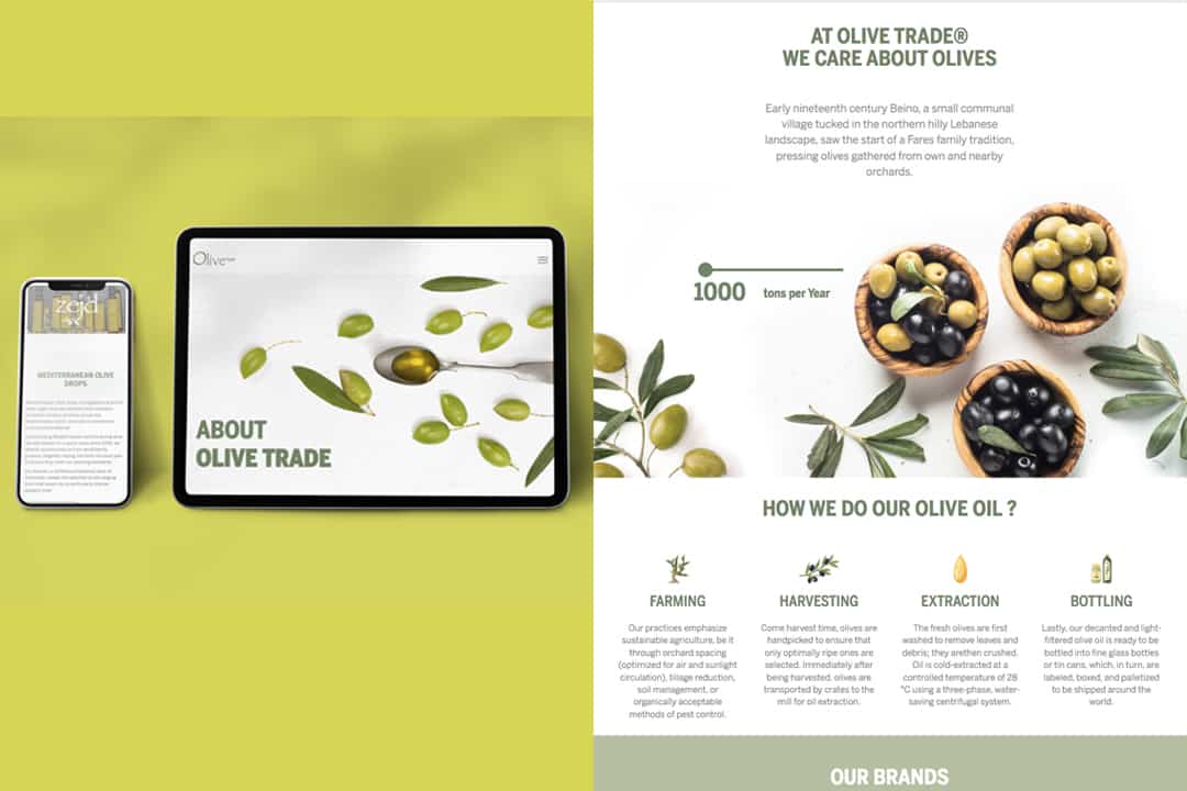 Olive trade website ux/ui