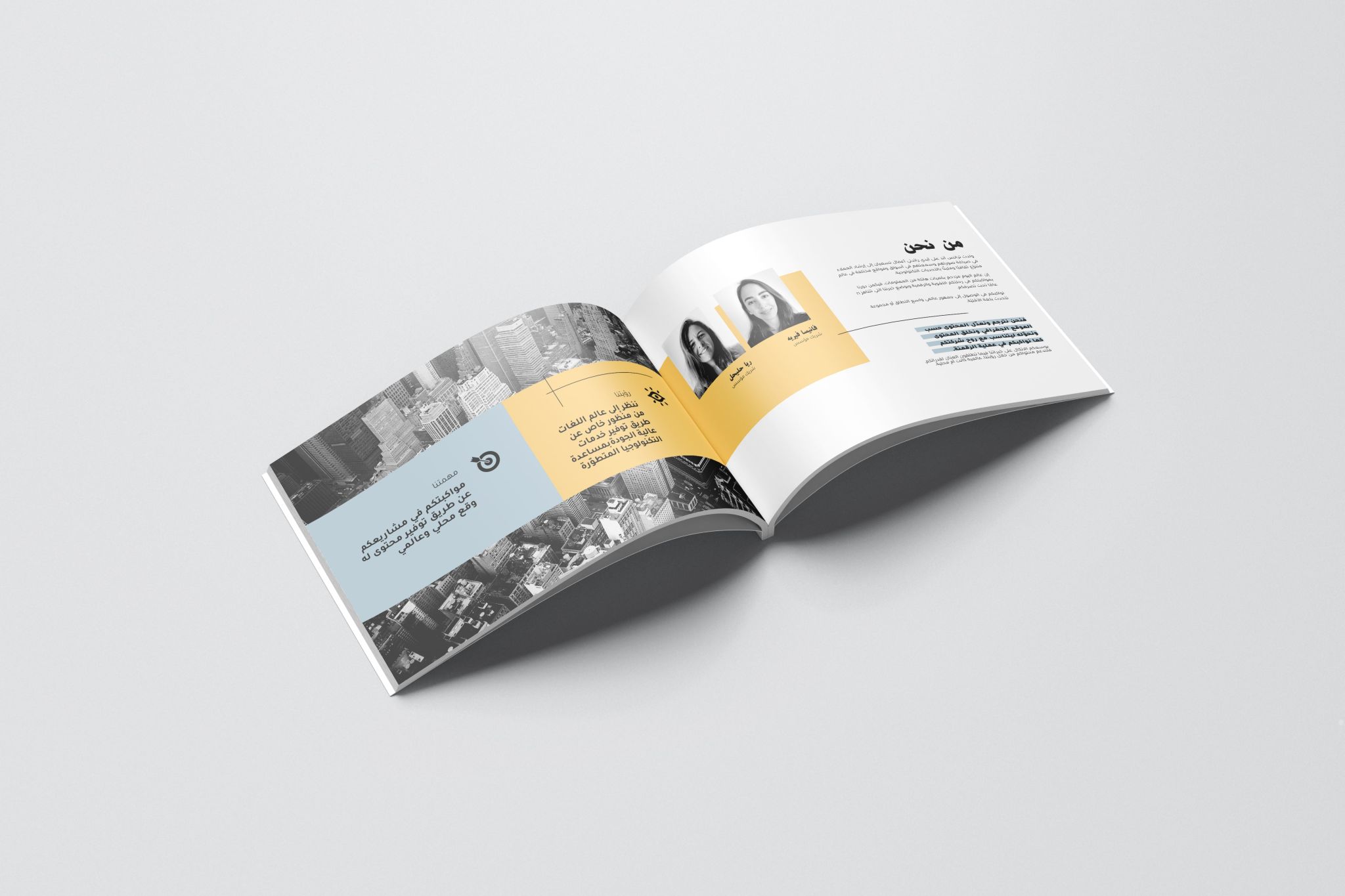 TransAnd brochure design