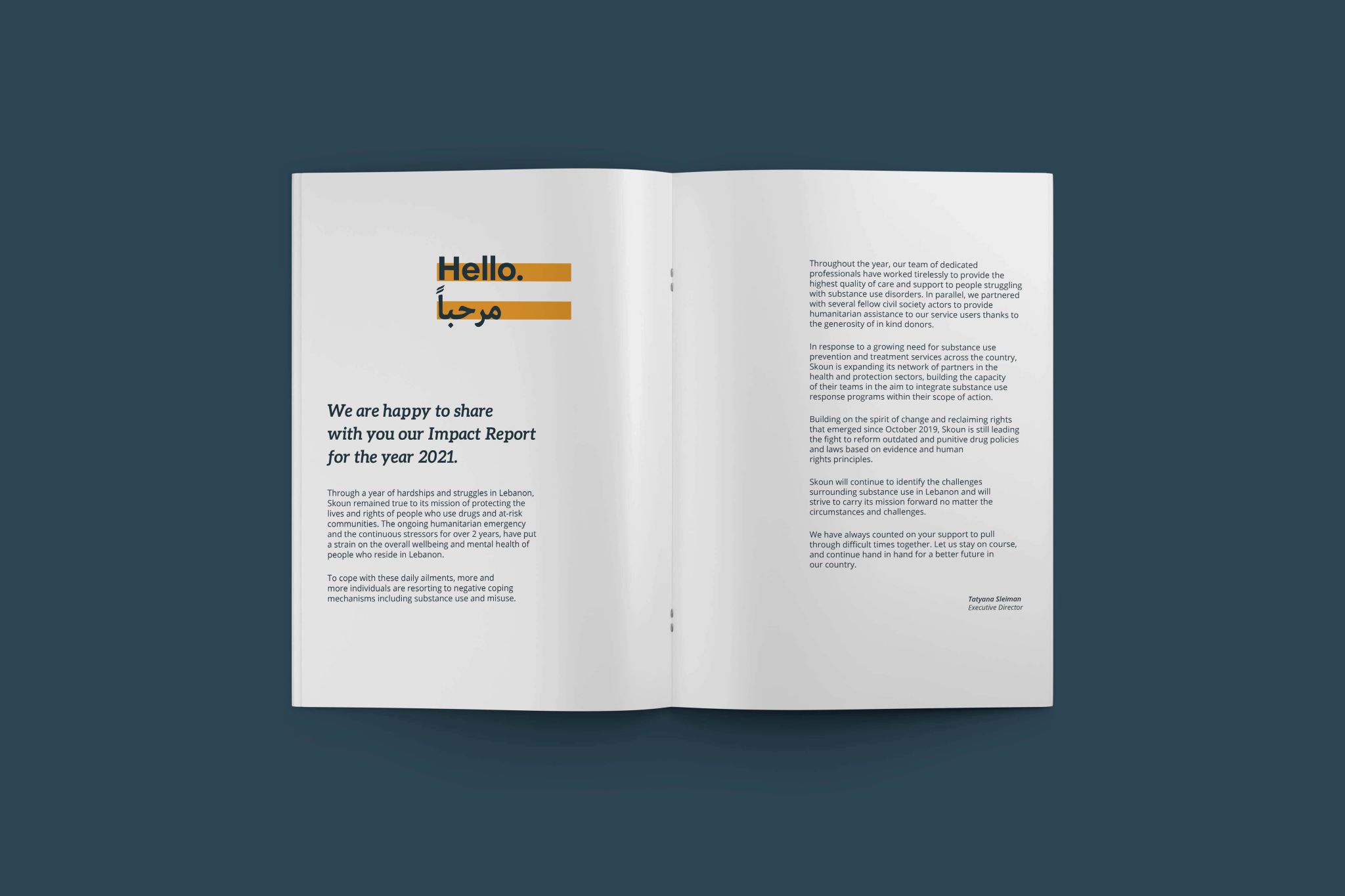 design impact report for skoun