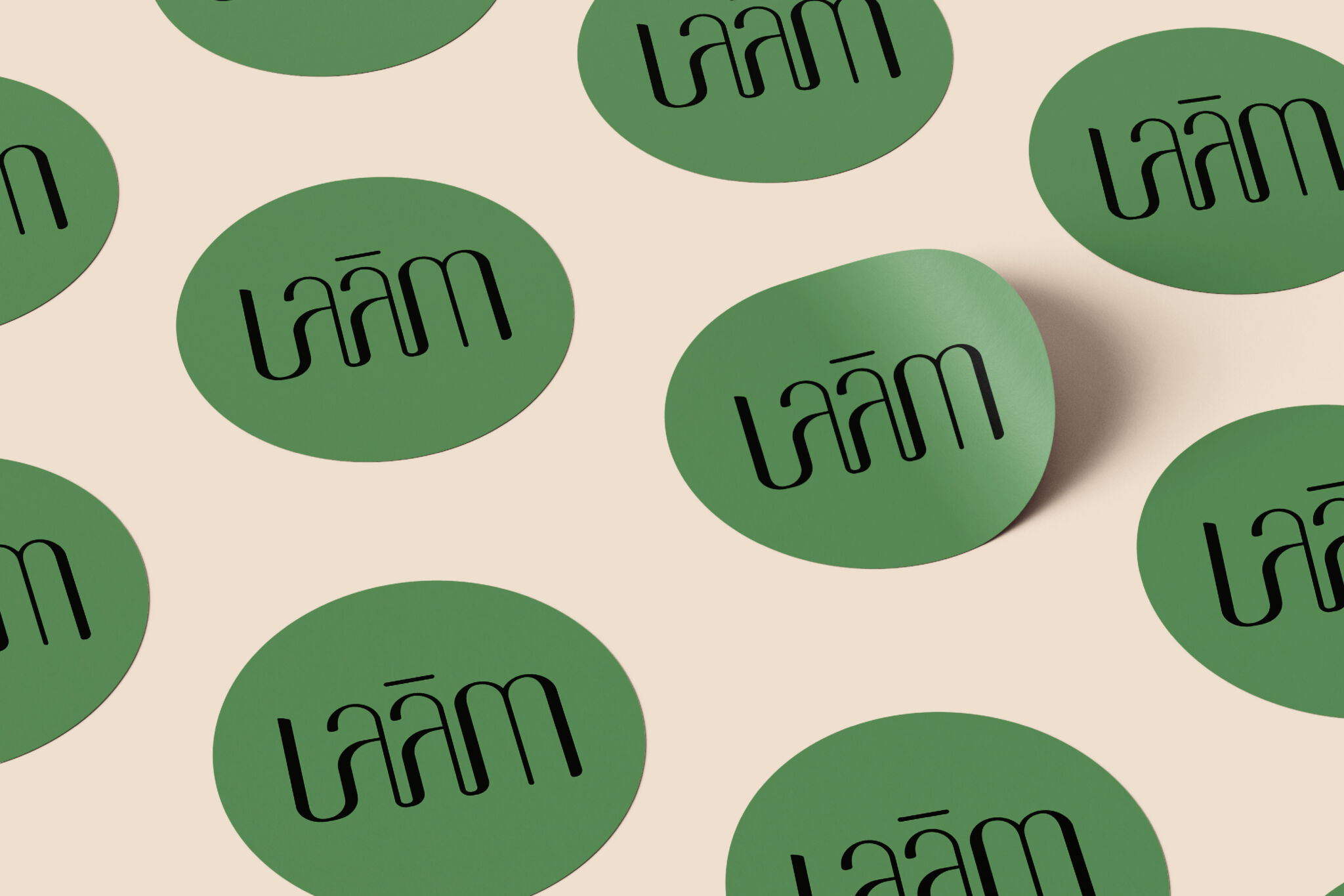 Laam branding project done by misfits digital branding and digital marketing agency 2